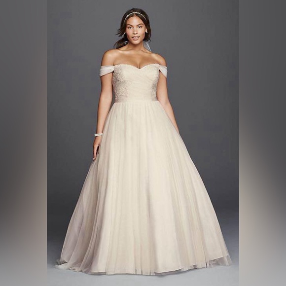 Brand new wedding gown with tags!